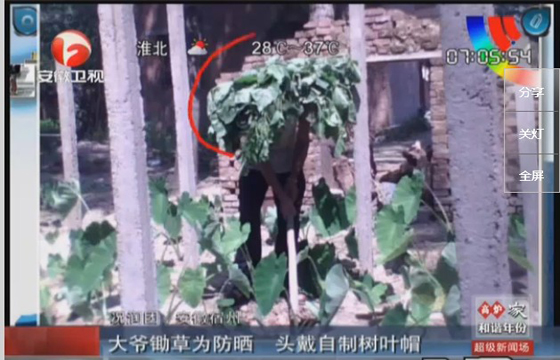 農(nóng)民防曬有絕招，就地取材，頭戴樹葉自制帽子