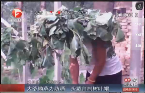農(nóng)民防曬有絕招，就地取材，頭戴樹葉自制帽子